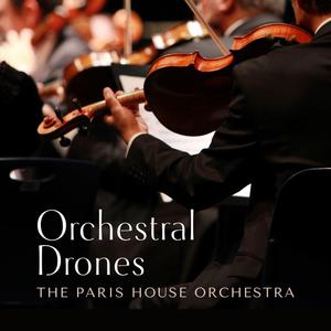 亚洲男女内射视频在线
